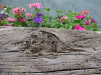 /album/fota-z-mych-cest-/p5081301-jpg/