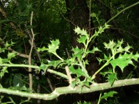 /album/fota-z-mych-cest-/p6201785-jpg/