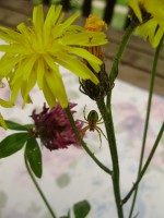 /album/fota-z-mych-cest-/p6272056-jpg/