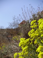 /album/fota-z-mych-cest-/p2190572-jpg/