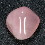 růženín- ochránce lidské duše